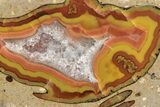 Polished Achat Agate Thunderegg Half - China #260583-1